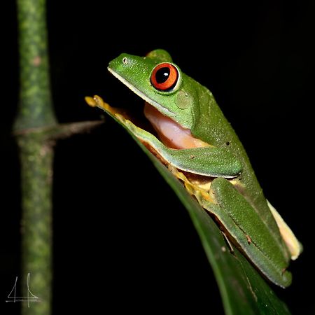 Hotel Rio ラ・セイバ エクステリア 写真